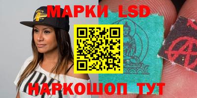 индика Гусев