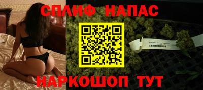индика Гусев