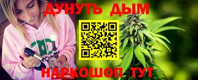 индика Гусев