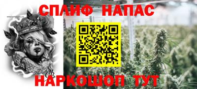индика Гусев