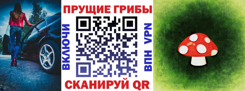 Псилоцибиновые грибы Psilocybe  MEGA маркетплейс  darknet наркотические препараты  Сосновоборск 