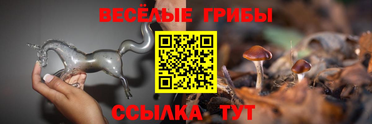 Псилоцибиновые грибы мицелий  Псилоцибиновые грибы Magic Shrooms  Вход с VPN  Сосновоборск 