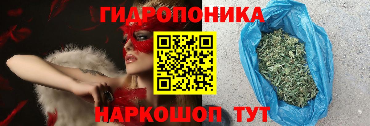 Каннабис конопля  Канабис White Widow  Бошки Шишки марихуана  Бошки марихуана LSD WEED  Сосновоборск 